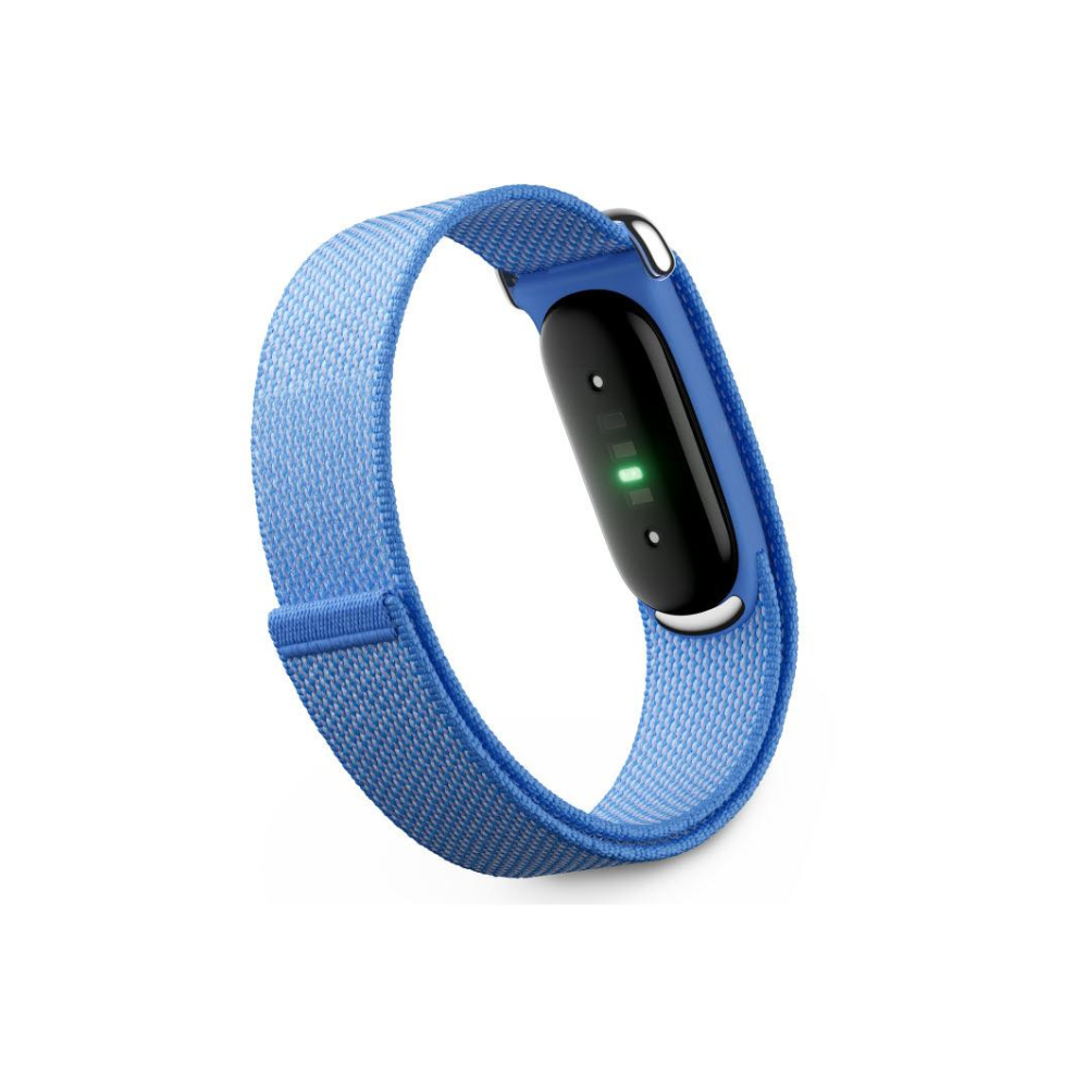 Google Fitbit Air (Lavender)