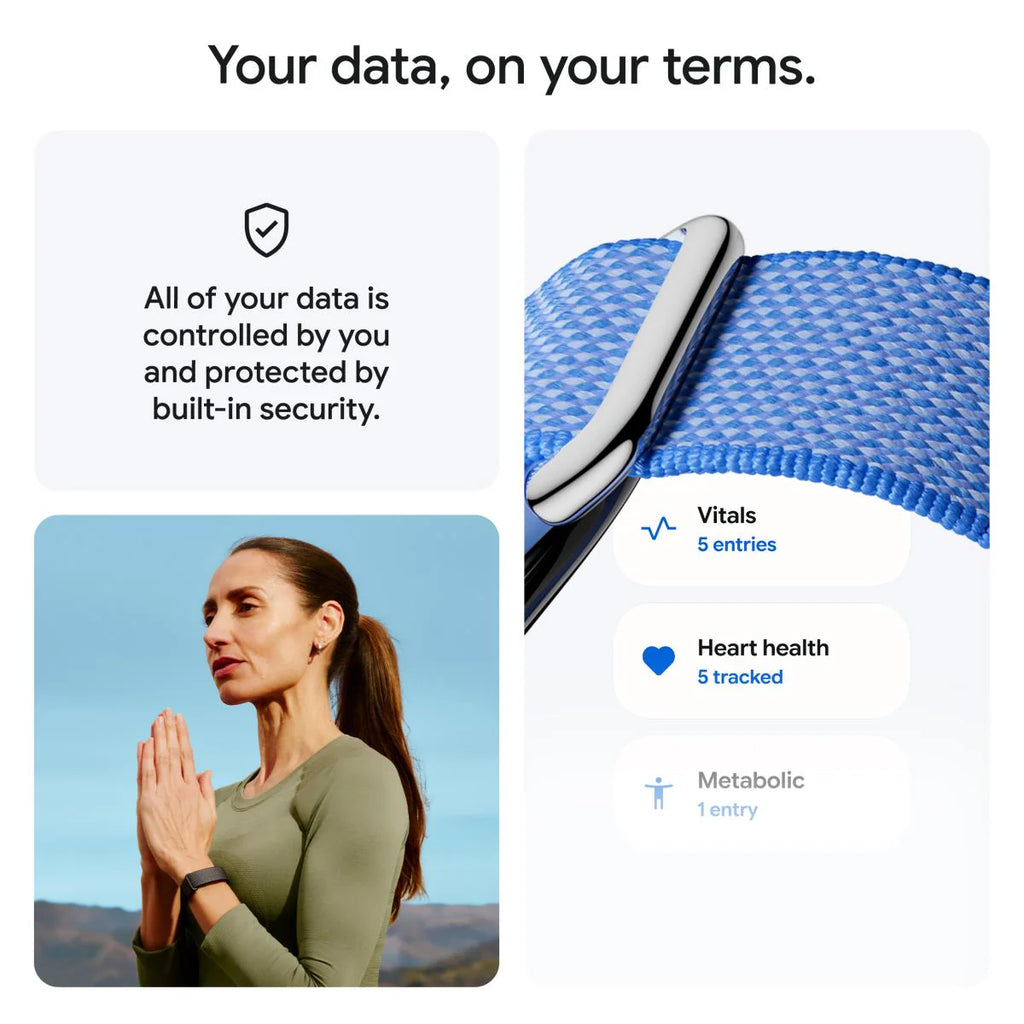 Google Fitbit Air (Lavender)