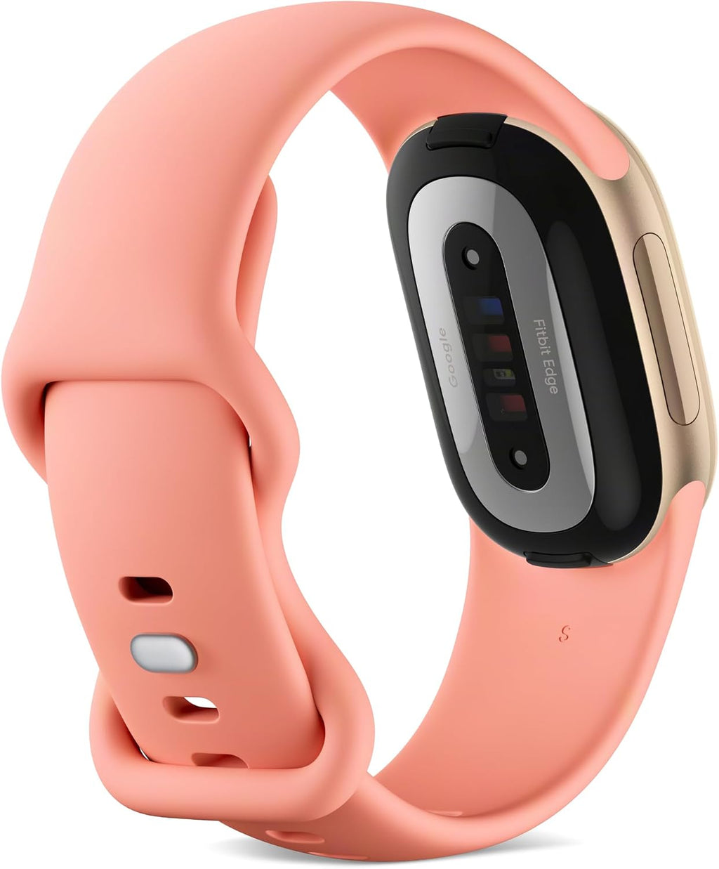 Google Fitbit Edge (Canyon)