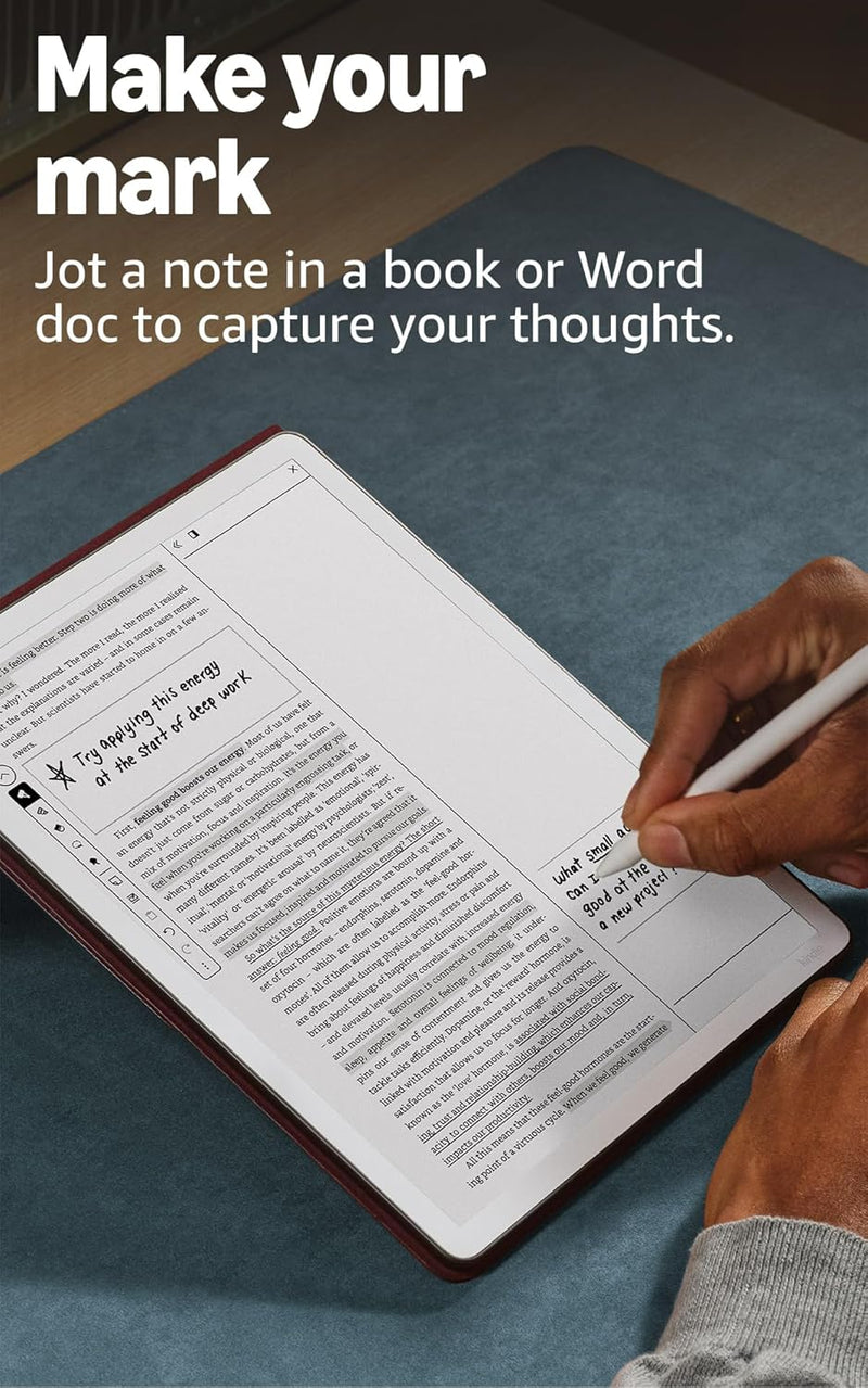 Kindle Scribe (newest model)